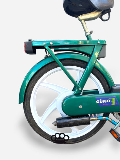 Marmitta DBR Wyvern Titane Multicolore