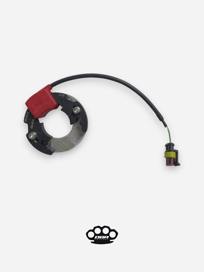 Statore Selettra - KTM Sx 50 Minicross avec Plaque d'Adaptation Carter