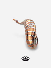 Chargez l'image dans la visionneuse de la Galerie, dbr-scarico-125cc-titanium-suzuki-valenti-rm-dal-2001-al-2012-7