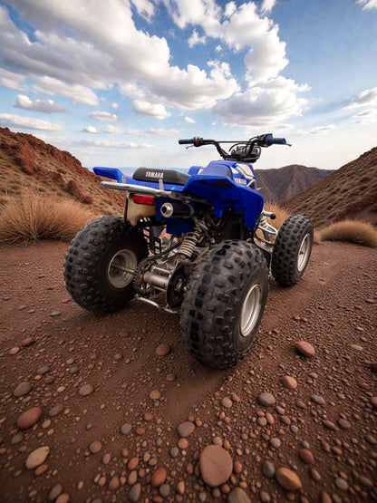 Solo Scarico en Titane DBR pour YAMAHA BLASTER 200cc ATV 1988–2009