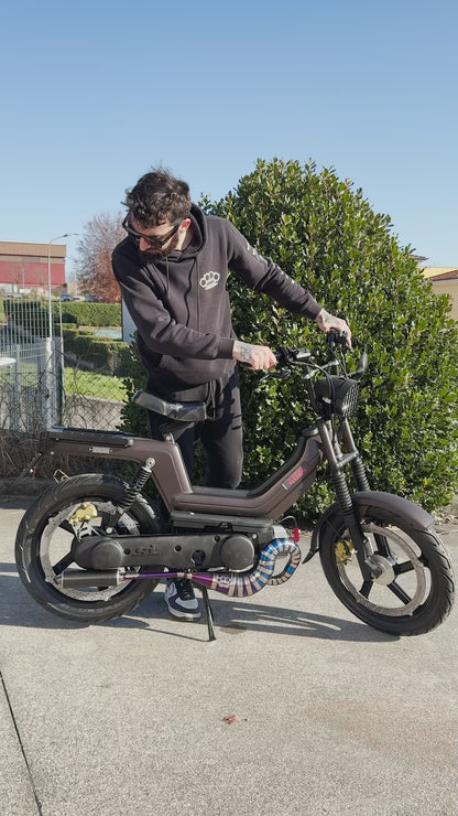 Marmitta DBR Wyvern Titane Multicolore